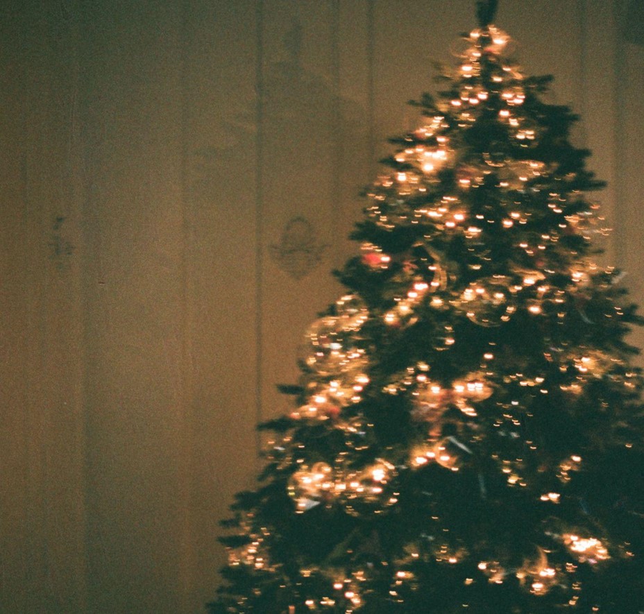 Find the Perfect Christmas Tree with Lights